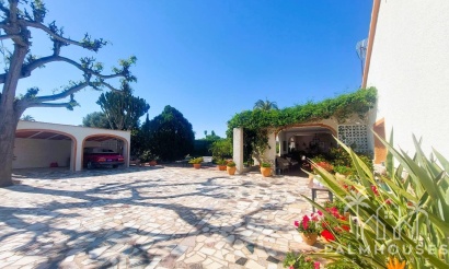 Revente - Finca - La Marina - Costa Blanca