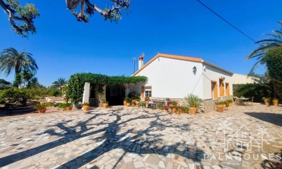 Revente - Finca - La Marina - Costa Blanca