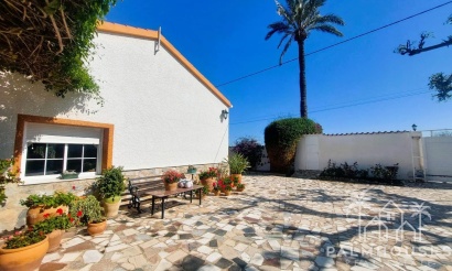 Revente - Finca - La Marina - Costa Blanca