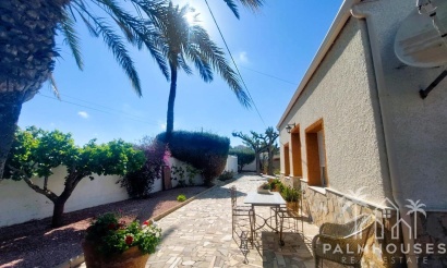 Revente - Finca - La Marina - Costa Blanca