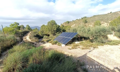 Revente - Finca - Gea Y Truyols - Inland