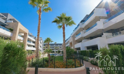 Revente - Apartment - Playa Flamenca - Costa Blanca