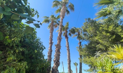 Venta - Villa - Torrevieja - La Siesta
