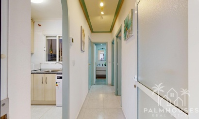 Herverkoop - Villa - San Miguel de Salinas - 03193