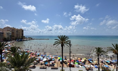 Venta - Apartment - Torrevieja - Playa del cura