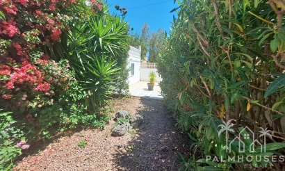 Revente - Villa - Orihuela Costa - Costa Blanca