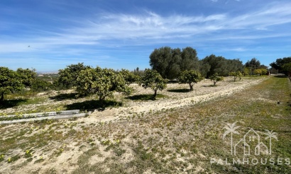 Revente - Villa - Guardamar del Segura - Costa Blanca