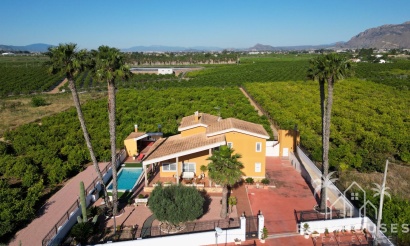 Venta - Finca - Orihuela - Inland