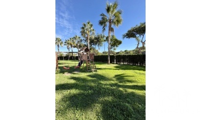 Revente - Apartment - Guardamar del Segura - Costa Blanca