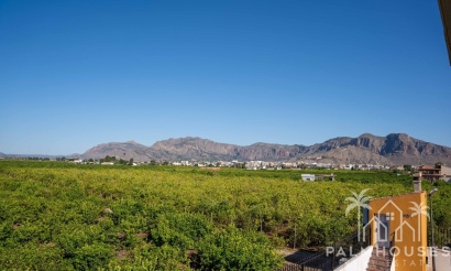 Revente - Finca - Orihuela - Inland