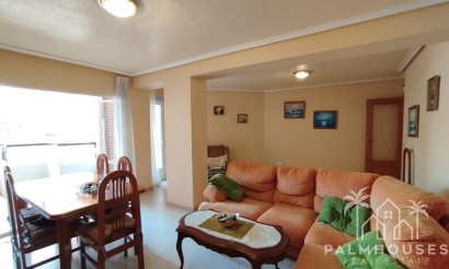 Revente - Apartment - Torrevieja - HABANERAS PLAZA SANTA MARIA