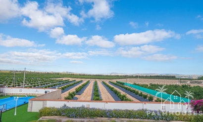 Venta - Villa - San Miguel de Salinas - Inland