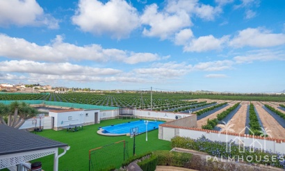 Venta - Villa - San Miguel de Salinas - Inland