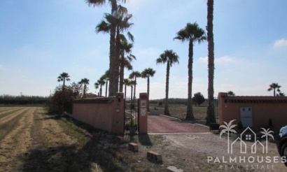 Revente - Finca - Dolores - Comunidad Valenciana