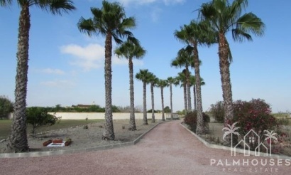 Revente - Finca - Dolores - Comunidad Valenciana