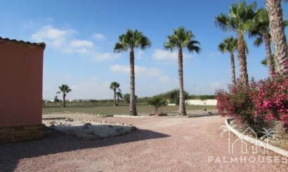 Revente - Finca - Dolores - Comunidad Valenciana