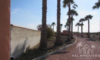 Revente - Finca - Dolores - Comunidad Valenciana