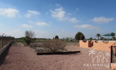 Revente - Finca - Dolores - Comunidad Valenciana