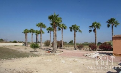 Revente - Finca - Dolores - Comunidad Valenciana