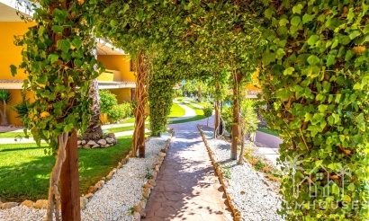 Venta - Apartment - Torrevieja - Costa Blanca