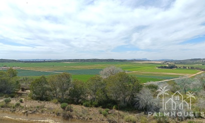 Revente - Villa - Algorfa - Inland