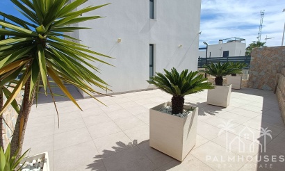 Revente - Villa - Algorfa - Inland