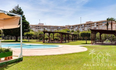 Revente - Apartment - Torrevieja - Parque de las Naciones