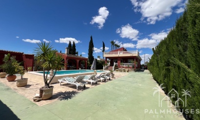 Revente - Finca - Dolores - Comunidad Valenciana