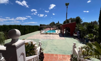Revente - Finca - Dolores - Comunidad Valenciana