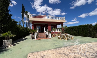 Revente - Finca - Dolores - Comunidad Valenciana