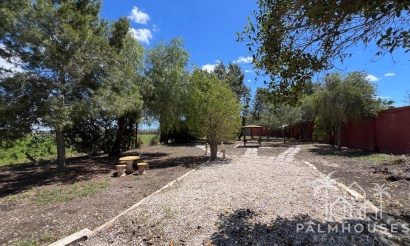 Revente - Finca - Dolores - Comunidad Valenciana