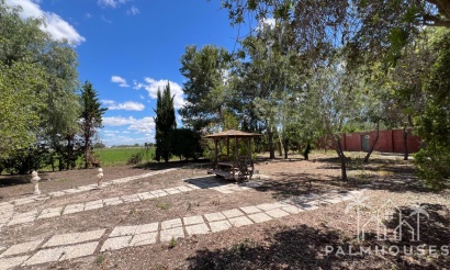 Revente - Finca - Dolores - Comunidad Valenciana
