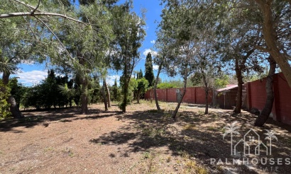 Revente - Finca - Dolores - Comunidad Valenciana