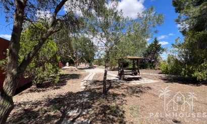 Revente - Finca - Dolores - Comunidad Valenciana