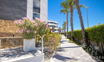 Revente - Apartment - Los Altos - AMANECER