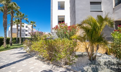 Revente - Apartment - Los Altos - AMANECER