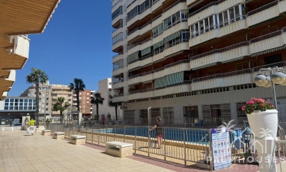 Venta - Apartment - Torrevieja - Playa del Acequión