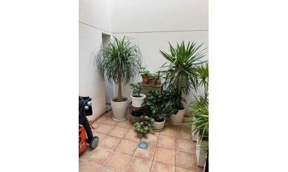 Venta - Casa - Torrevieja - Punta Prima