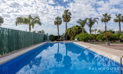 Herverkoop - Villa - Elche - Costa Blanca