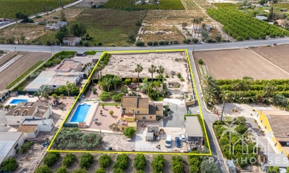 Herverkoop - Villa - Elche - Costa Blanca