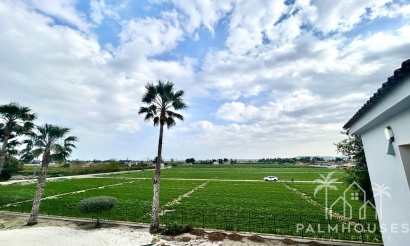 Revente - Villa - Catral - Costa Blanca