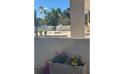 Venta - Finca - Aledo - Other