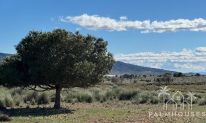 Venta - Finca - Aledo - Other