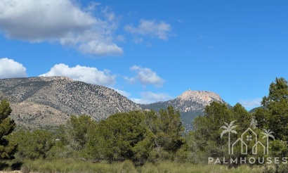 Venta - Finca - Aledo - Other