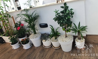 Venta - Villa - San Pedro del Pinatar - Center