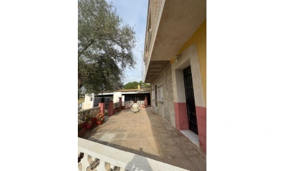 Revente - Maison - Orihuela - Orihuela Ciudad