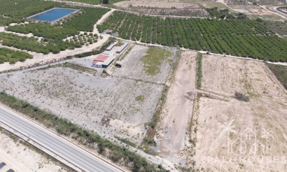 Revente - Finca - Los Montesinos