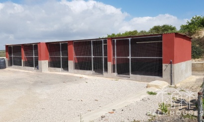 Revente - Finca - Los Montesinos
