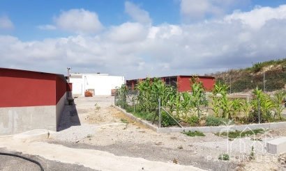 Revente - Finca - Los Montesinos