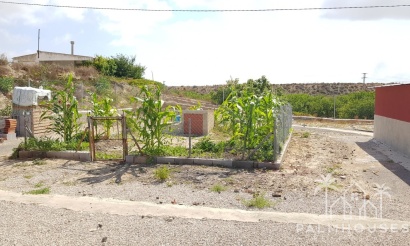Revente - Finca - Los Montesinos